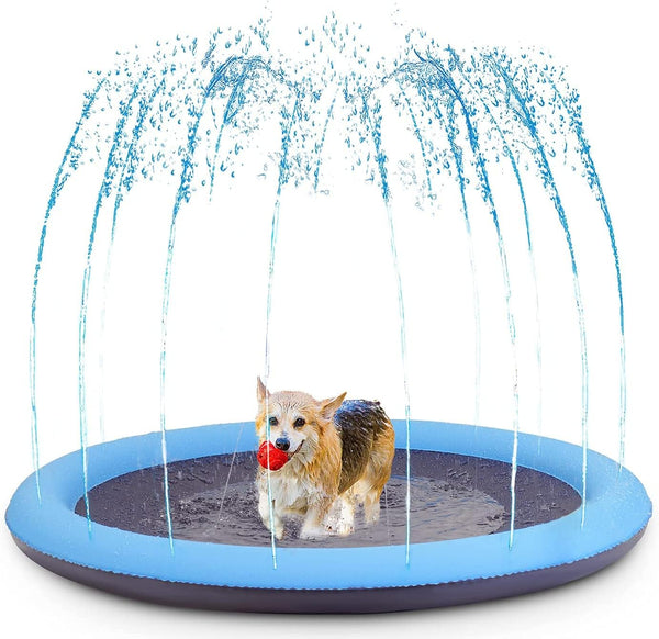 Piscina Para Pets Com Sistema de Irrigação